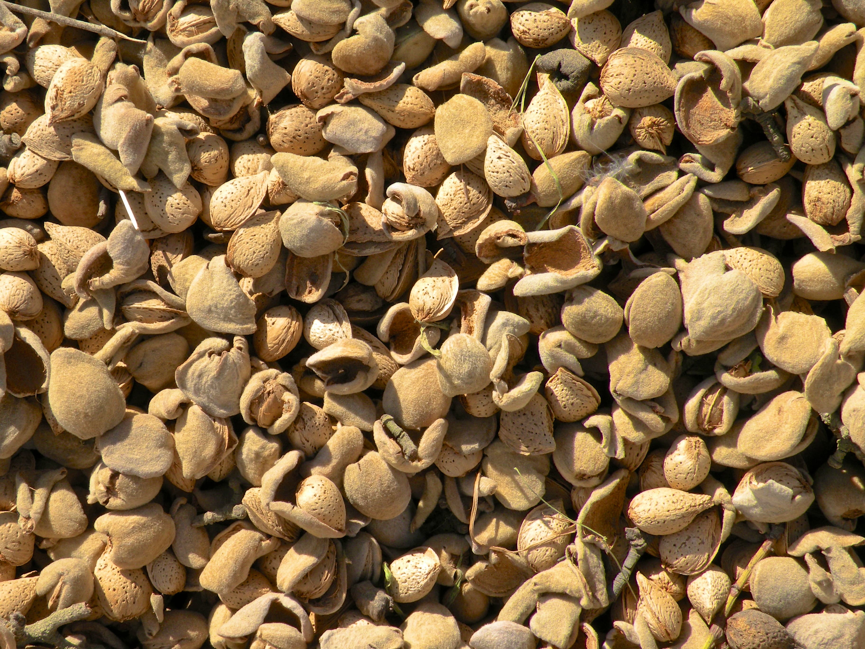 US Trade Mitigation Package Direct Payments for Almonds