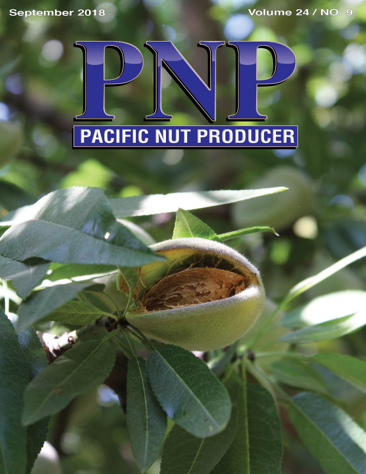 Read – September 2018 Issue