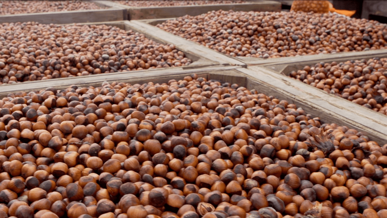 International Trade Dispute May Open Doors for the Pacific Northwest Hazelnut Industry