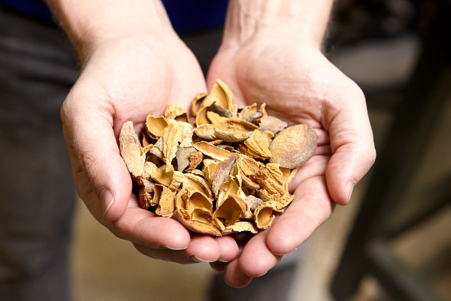 Almond Board of CA Explores Options for Exporting Almond Biomass