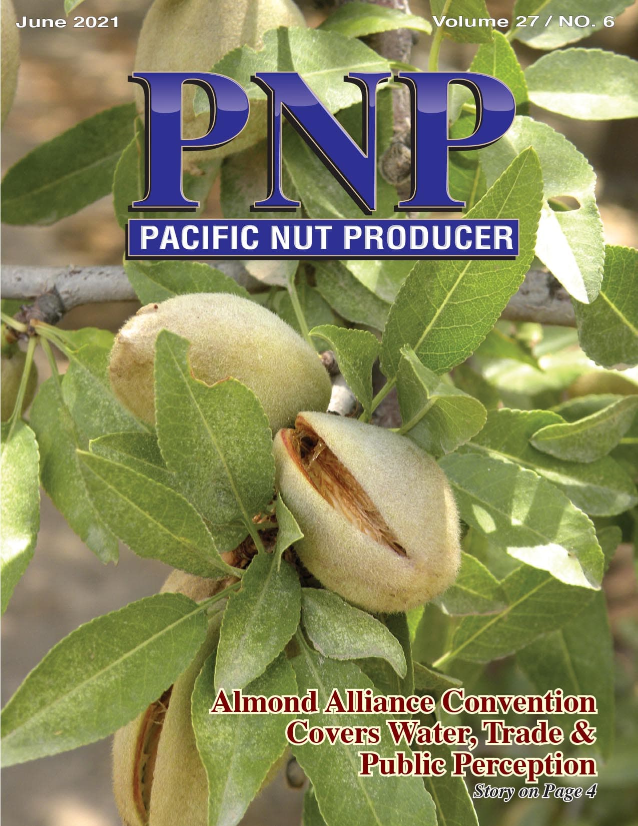 Read – June 2021 Issue