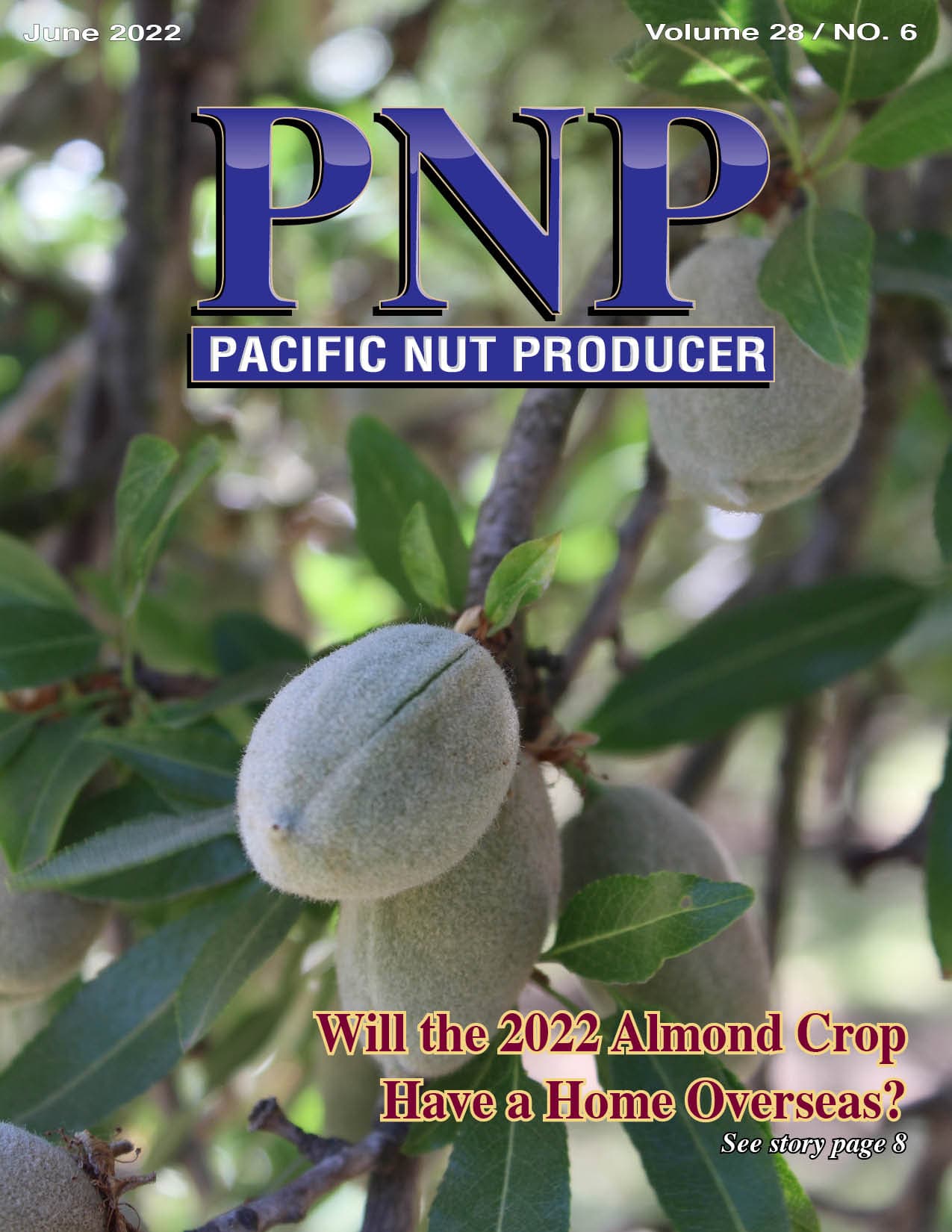 Read – June 2022 Issue