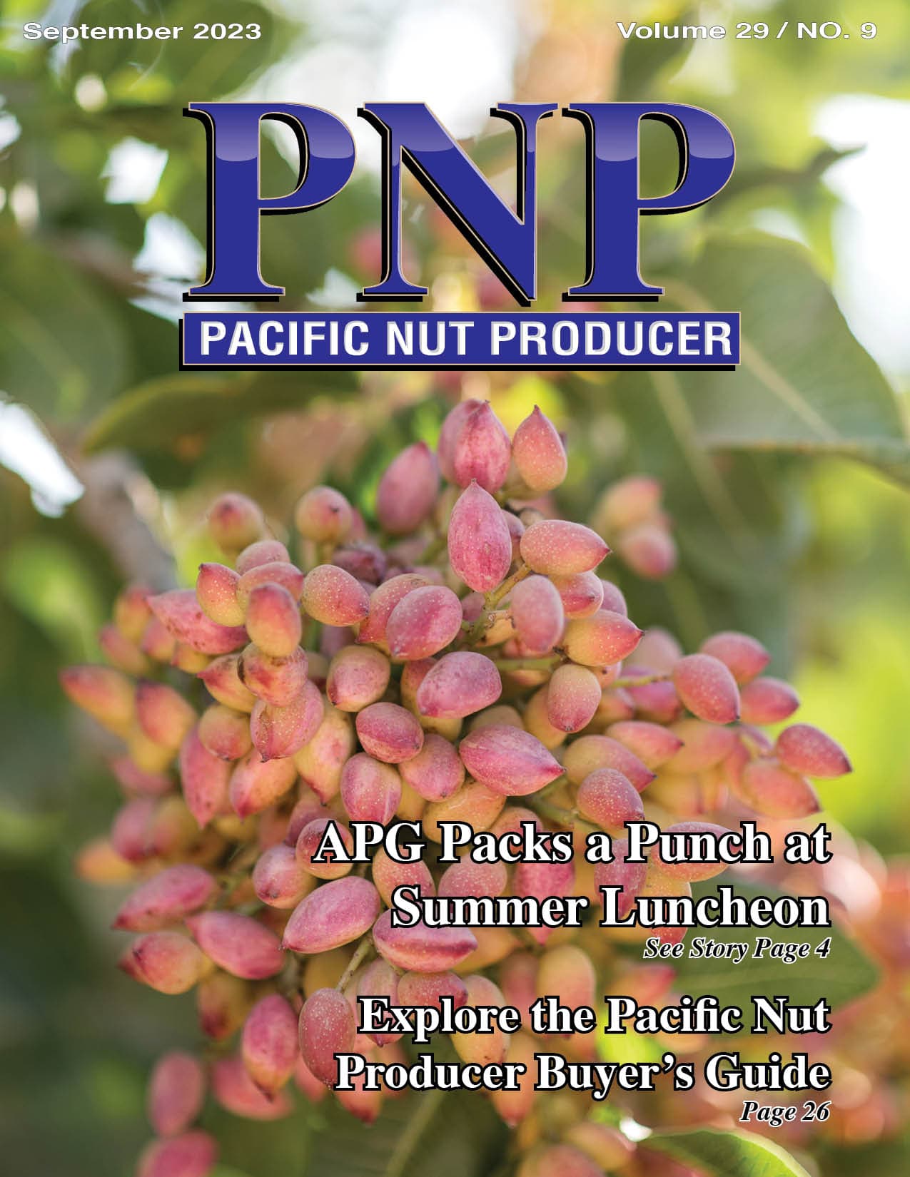 Read – September 2023 Issue