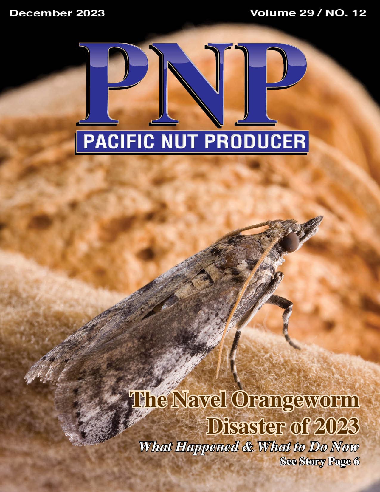 Read – December 2023 Issue