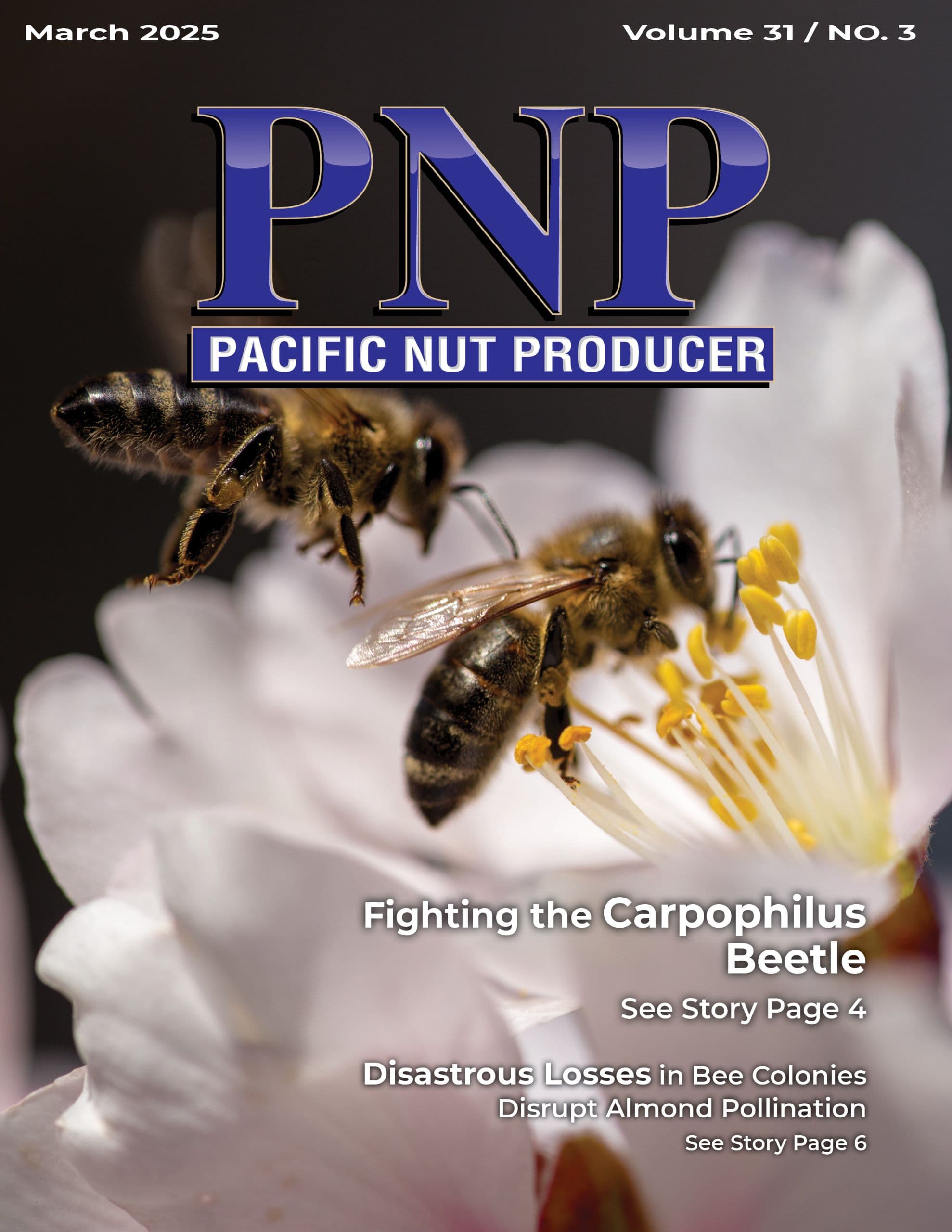 READ – March 2025 Issue