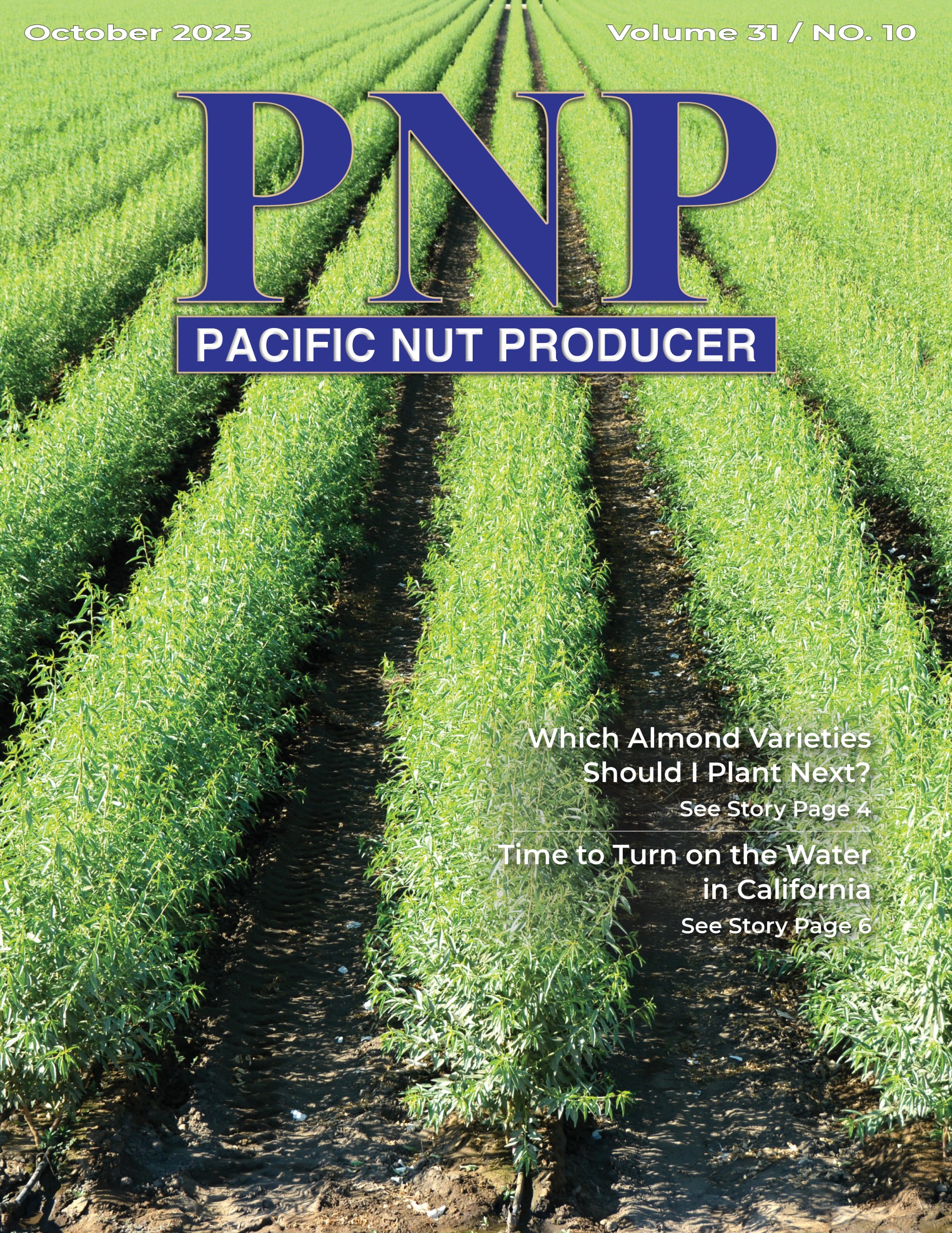 READ – October 2025 Issue