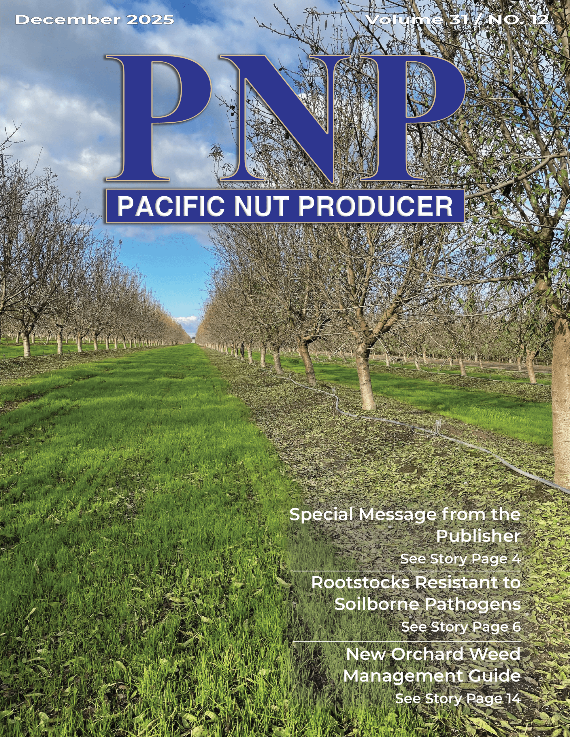 READ – December 2025 Issue