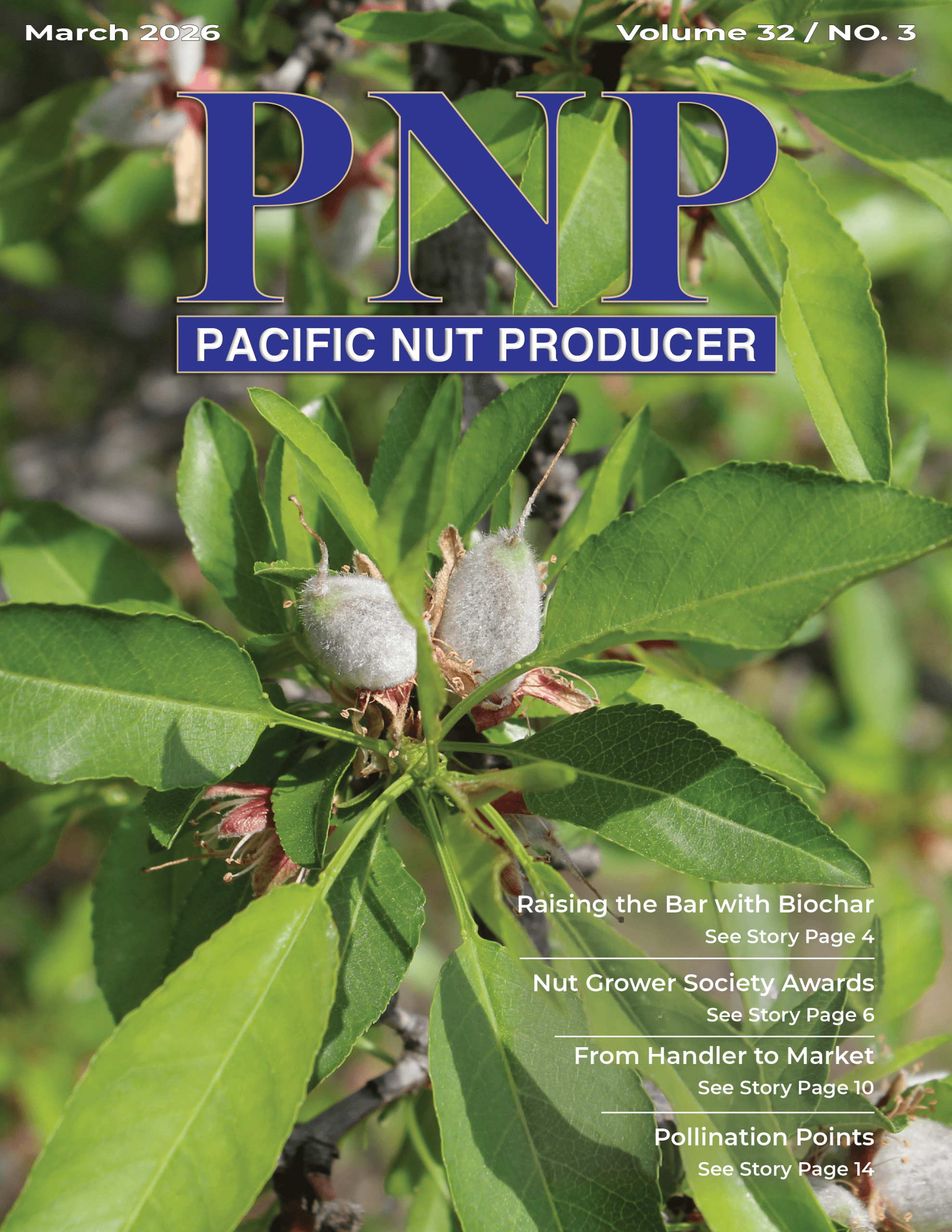 READ – March 2026 Issue