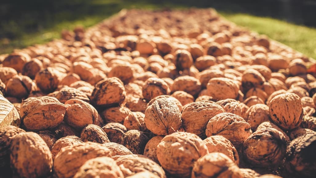 California Walnut Commission Voices Support for ASCF