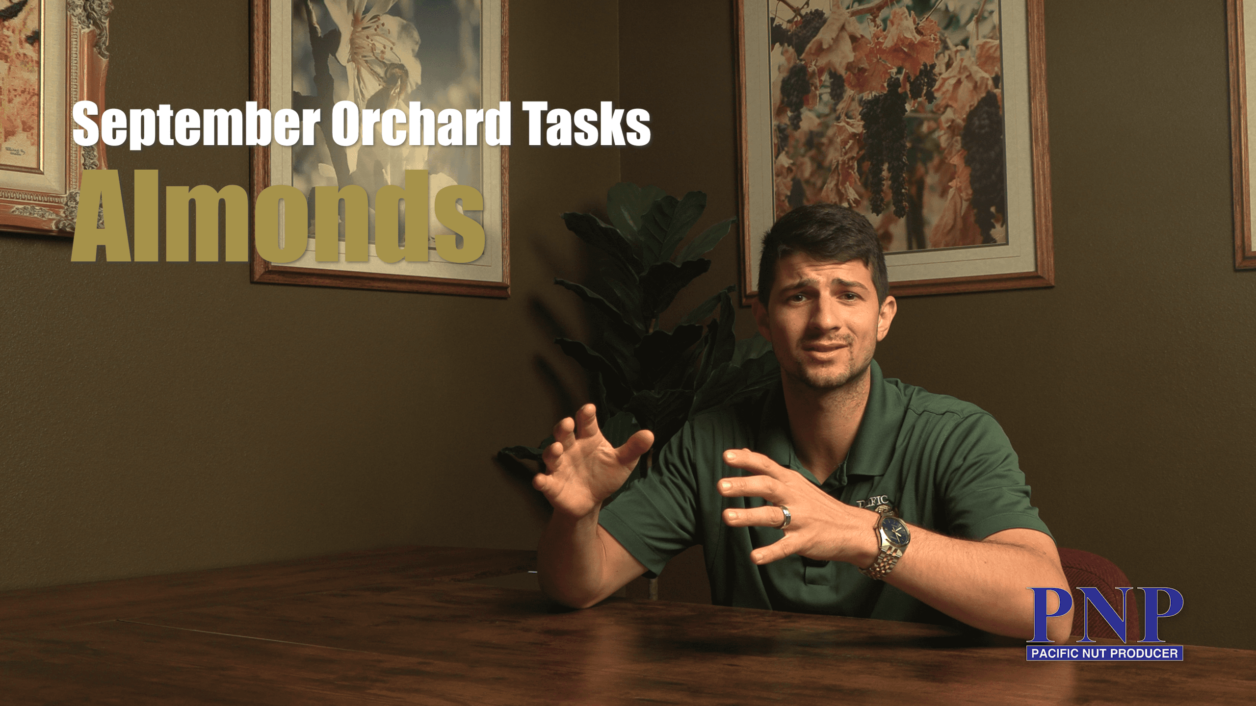 September Orchard Tasks - Almonds