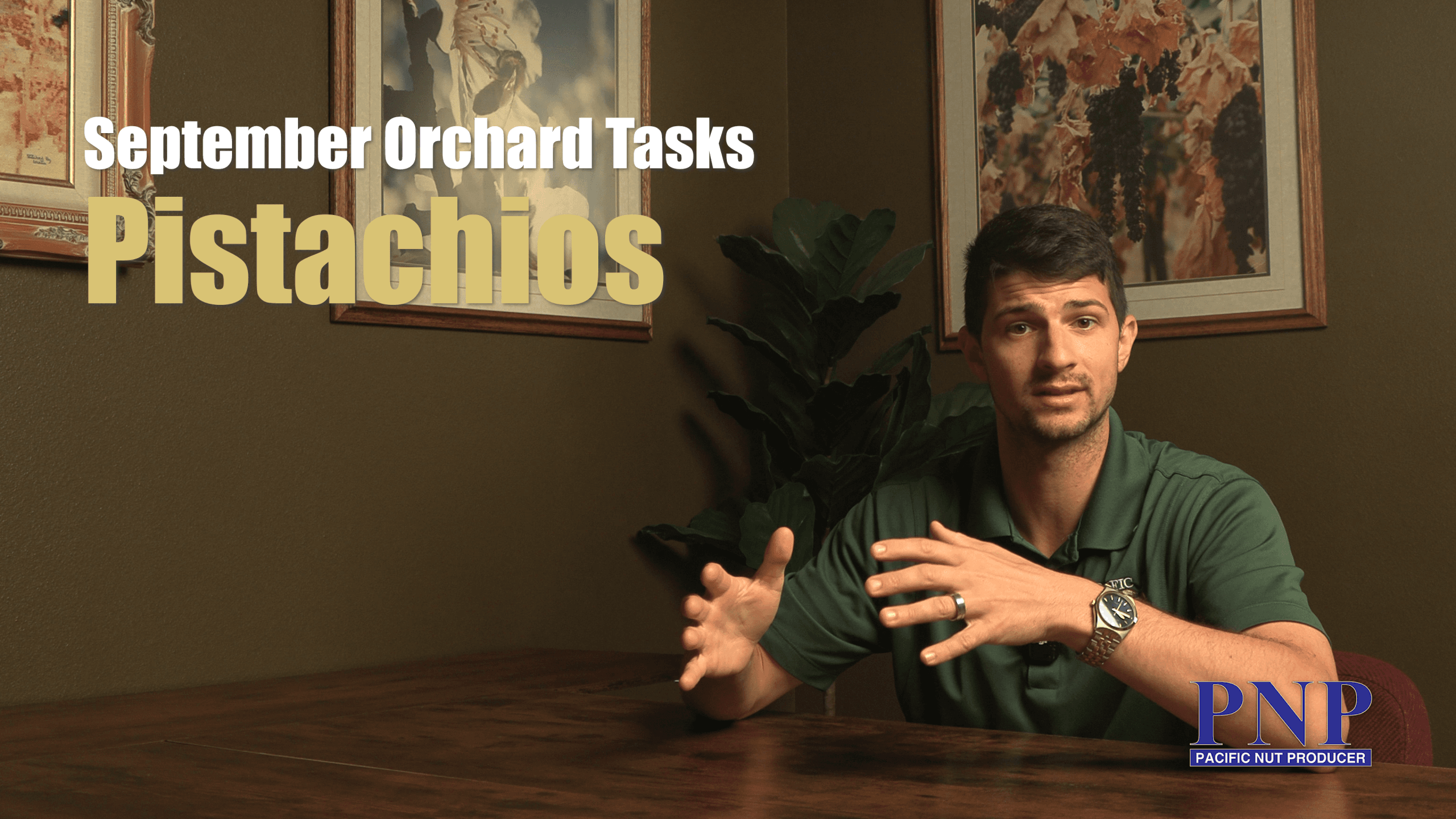 September Orchard Tasks – Pistachios