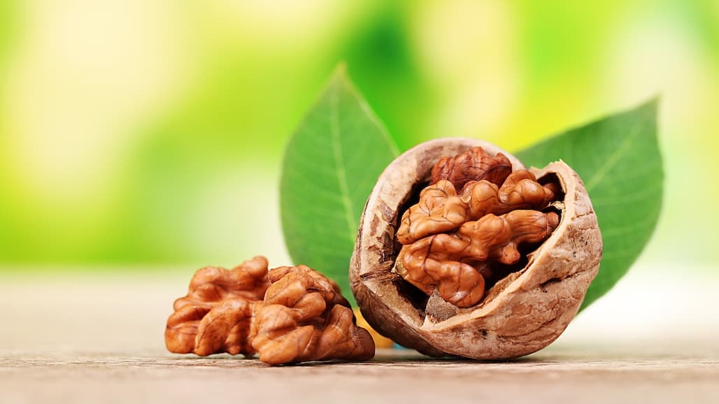 Ukrainian Walnut Production Predicted to Increase