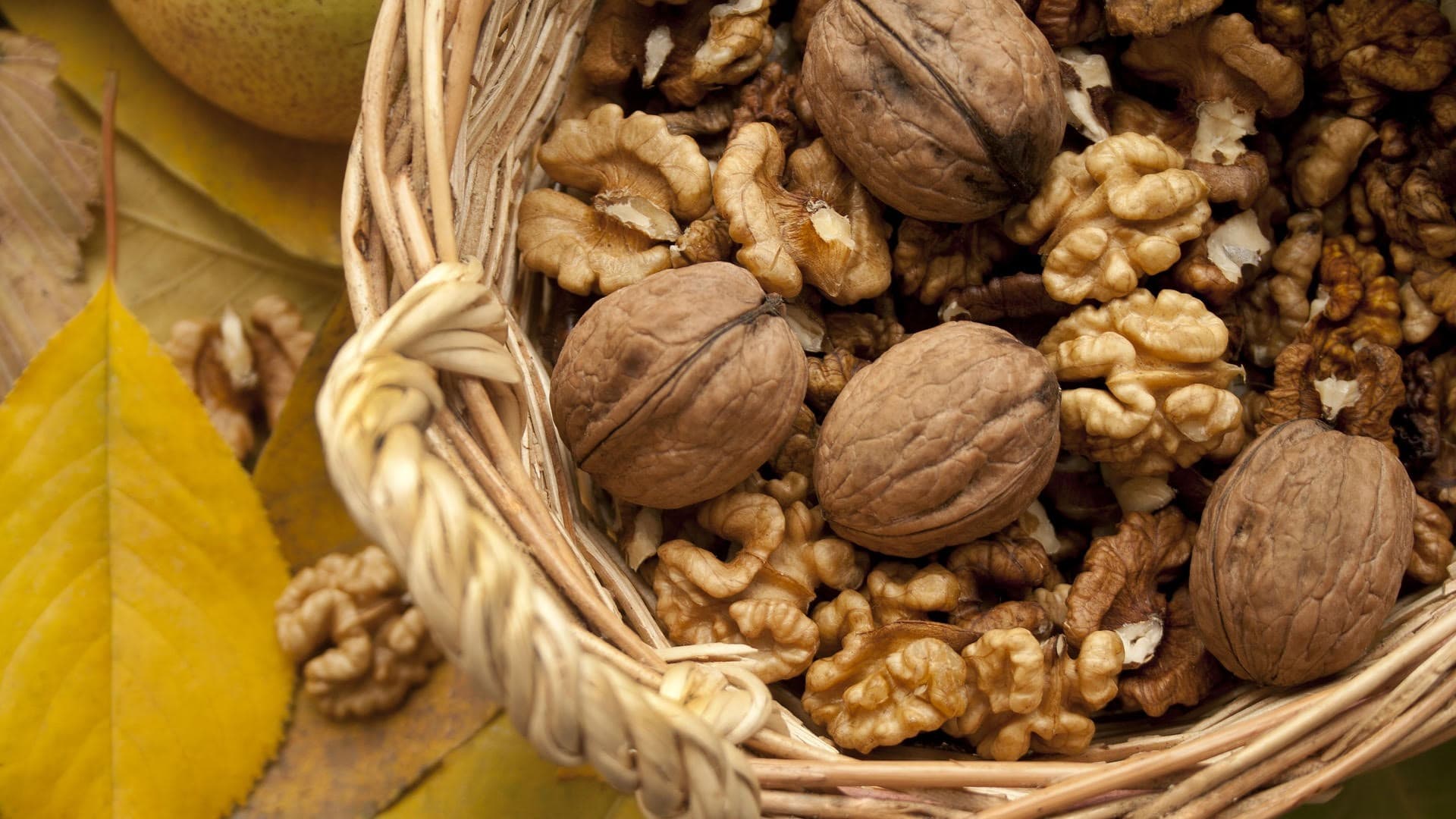 PacificNutProducer