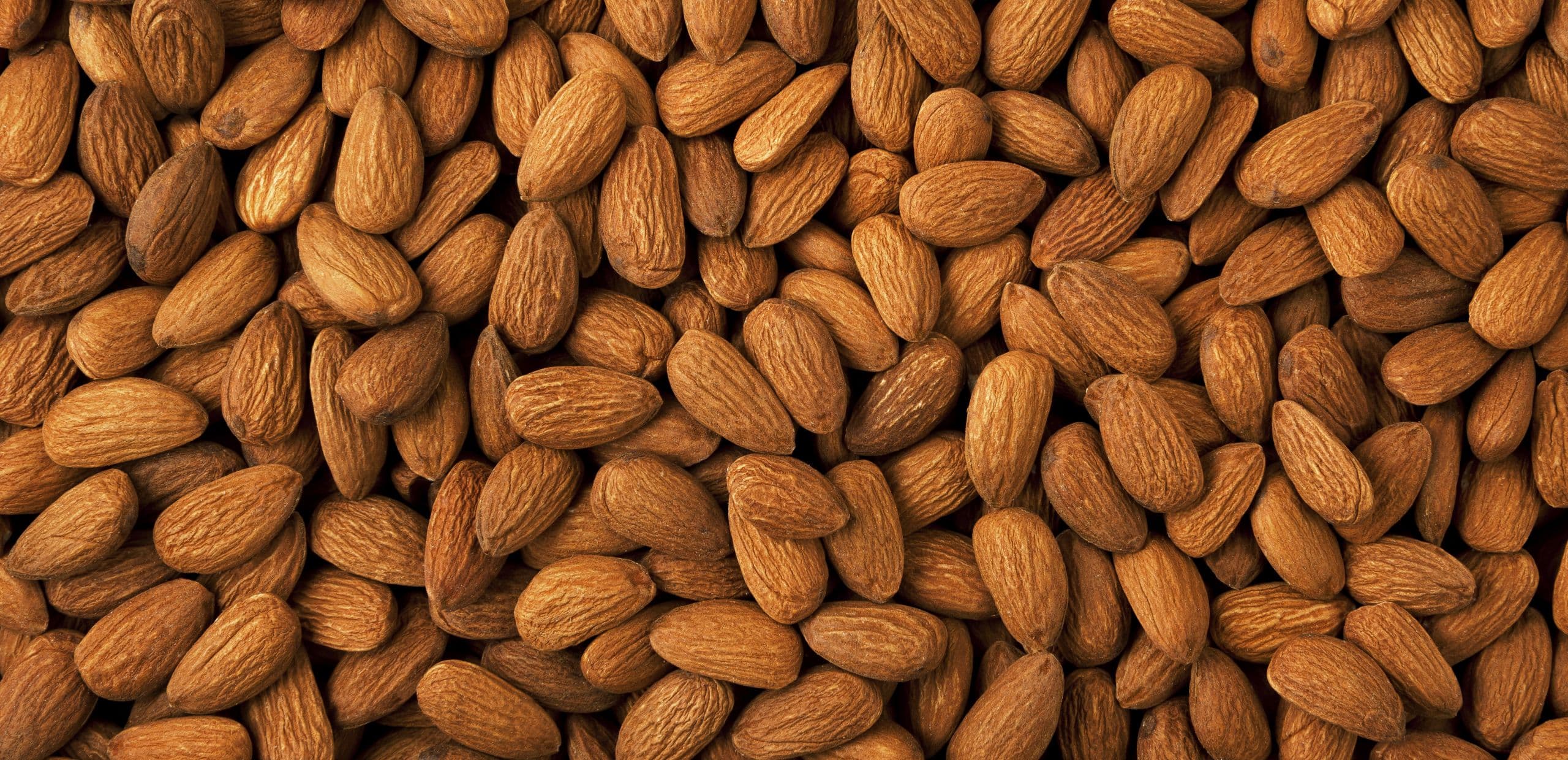 CA Almonds: Global Shipments & Trends