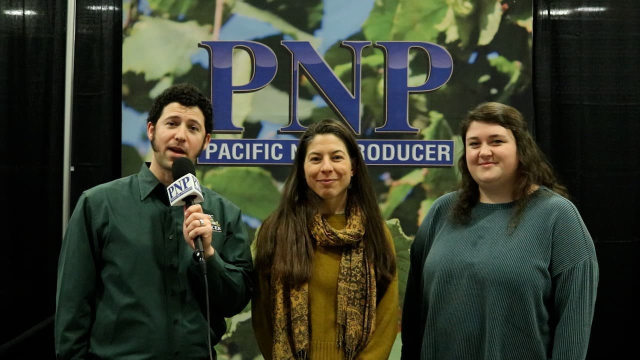 cover crops in hazelnut orchards interview