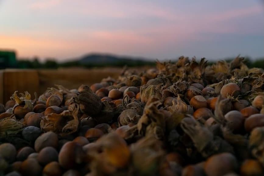 Nut Growers Society Scholarship